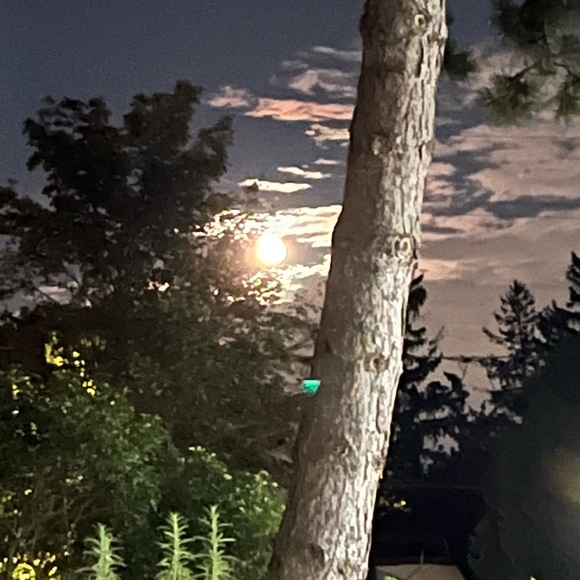 Meet your Posher, Jessika - Picture 4 of 4